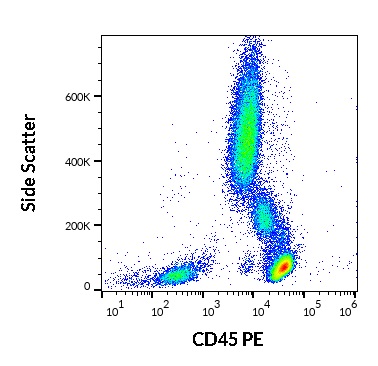 Anti-CD45 / LCA Monoclonal Antibody (Clone:MEM-28)-PE Conjugated